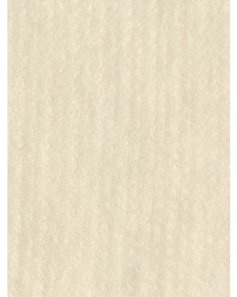 Kleur 00 Natuurwit Flyfel Naaldvilt 100% merinowol / 120 cm breed