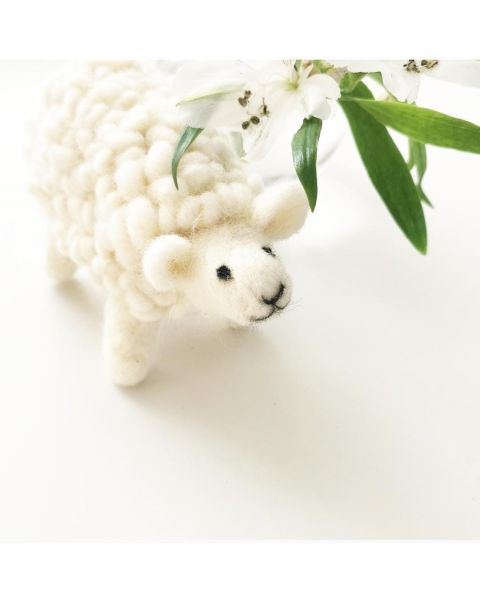 Wat is er nou leuker om van wol te maken dan een lief en schattig schaapje van ca. 12 cm.